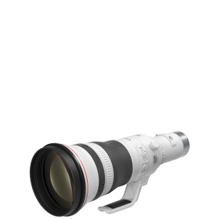 RF 800mm F5.6L IS USM