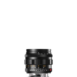 Noctilux-M 50mm f/1.2 ASPH