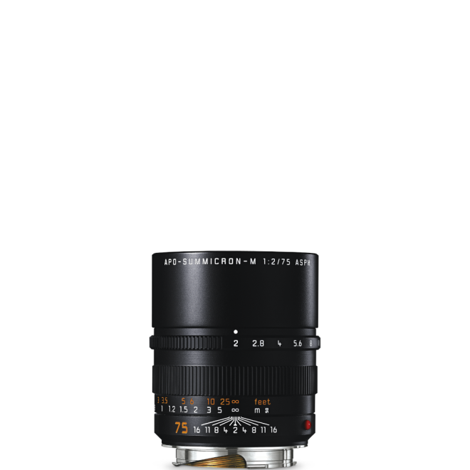Apo-Summicron-M 75mm f/2 ASPH Apo-Summicron-M 75mm f/2 ASPH