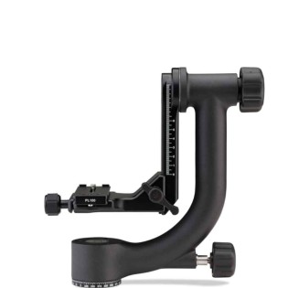 Tête pendualire GH2