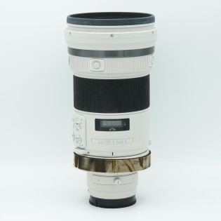 A 300 F/2.8 G SSM II