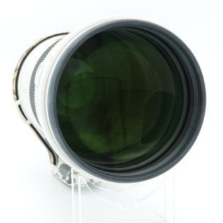 A 300 F/2.8 G SSM II