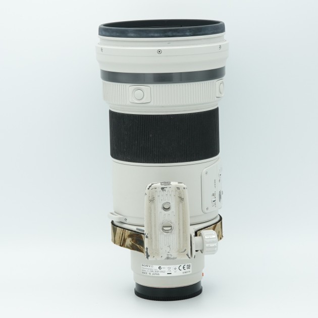 A 300 F/2.8 G SSM II