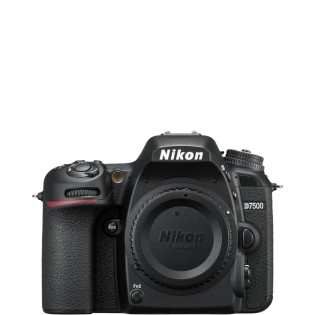 D7500