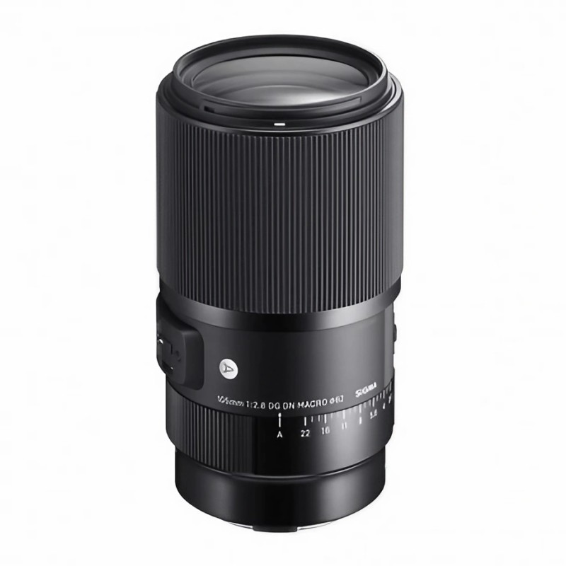 105 F2.8 DG DN MACRO ART LMOUNT