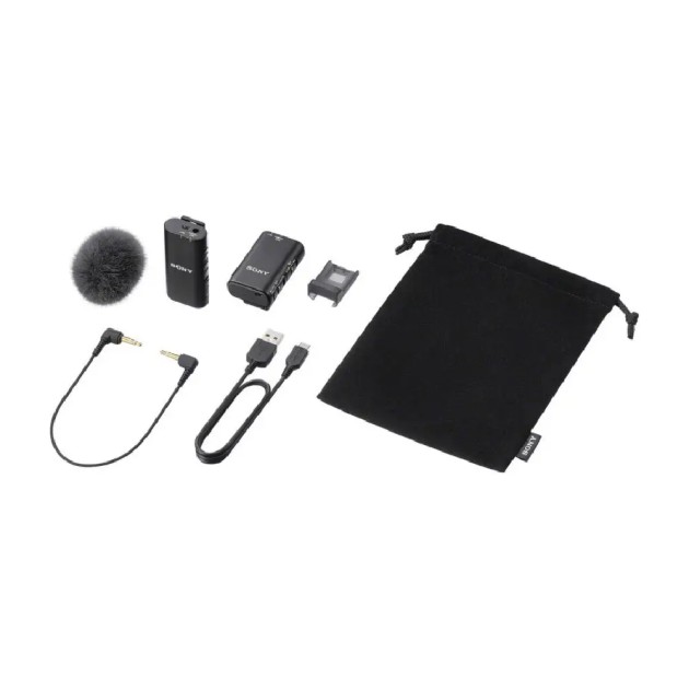 Micro ECM-W2BT