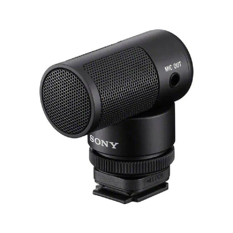 Micro-canon ECM-G1