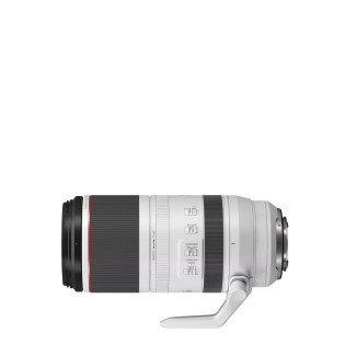RF 100-500mm F4.5-7.1L IS USM