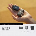 Mic 2
