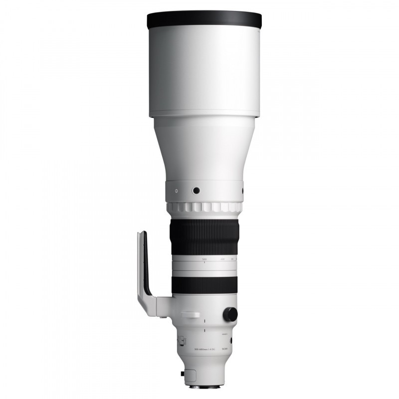 Sigma 300-600mm F4 DG OS | Sports - Zooms hybrides - Concept Store Photo