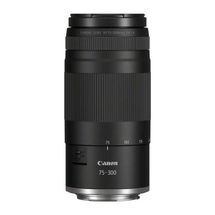 Canon RF 75-300mm F4-5.6 - Zooms hybrides - Concept Store Photo