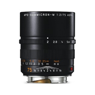 Leica Apo-Summicron-M 75mm f/2 ASPH - Objectif fixe - Concept Store Photo