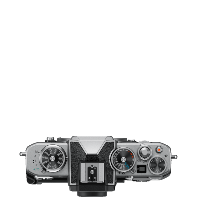 Zfc
