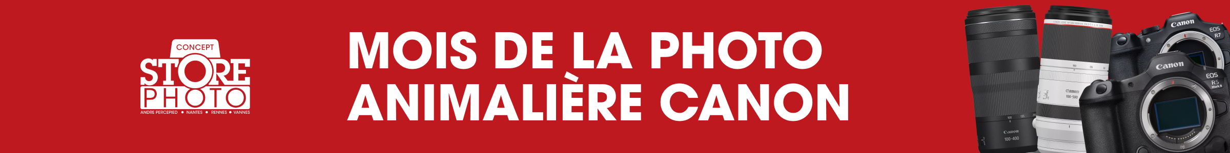 Visuel des offres Black Friday