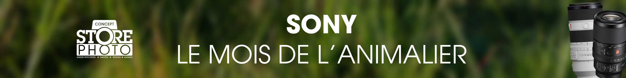Visuel des offres Black Friday