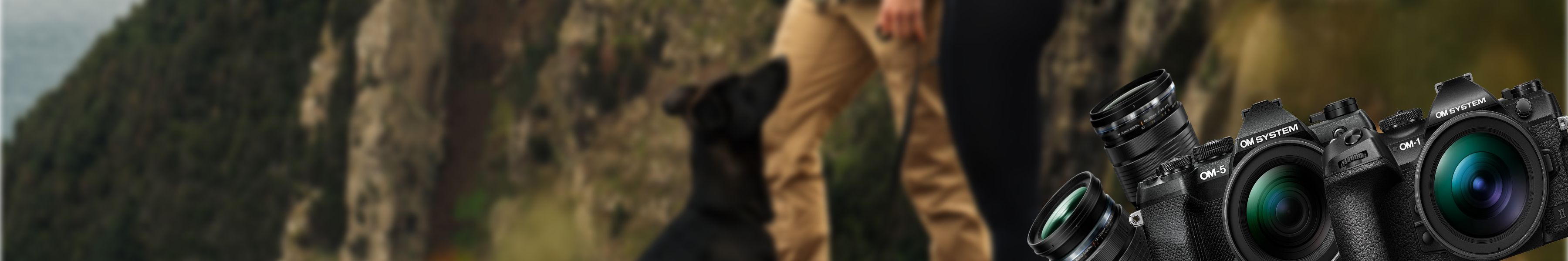 Visuel des offres Black Friday