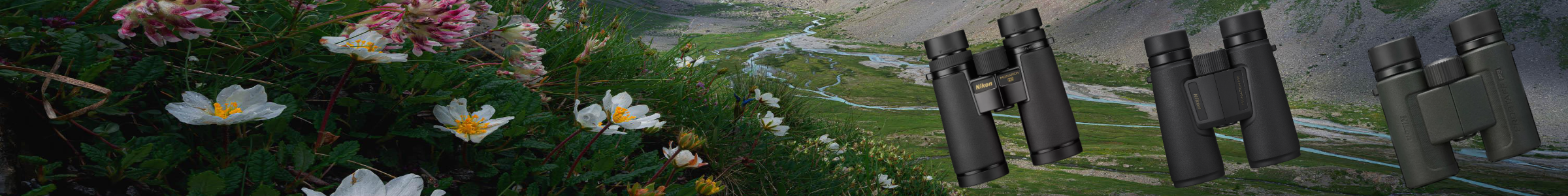 Visuel des offres Black Friday