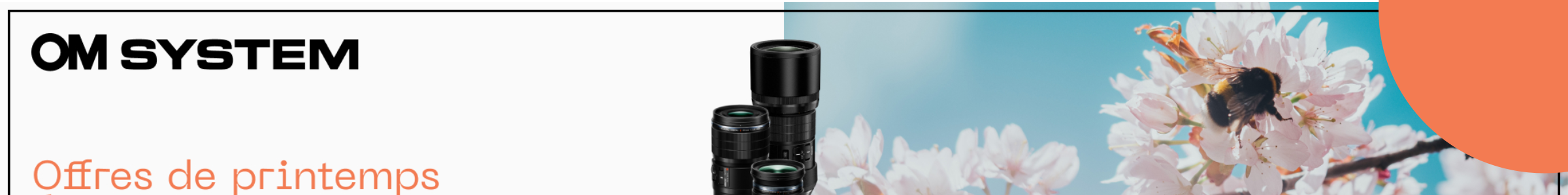 Visuel des offres Black Friday