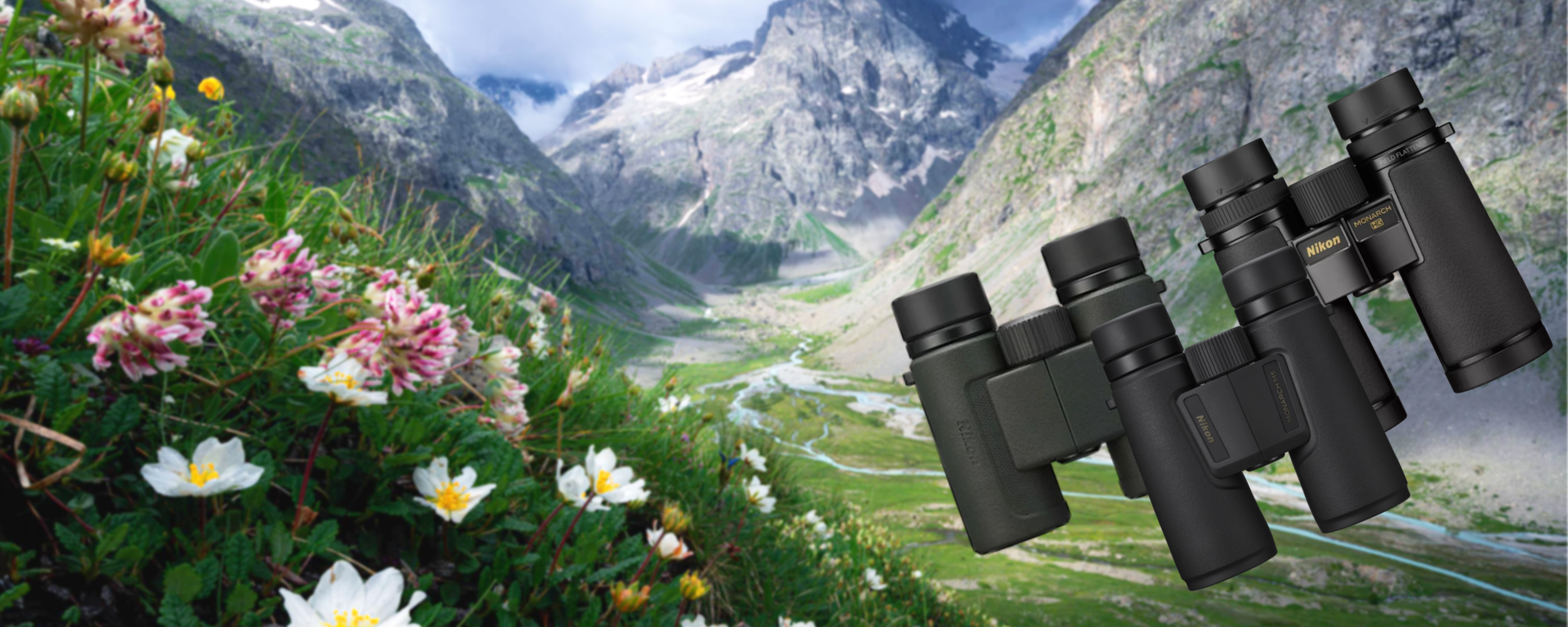 Offre jumelles Nikon