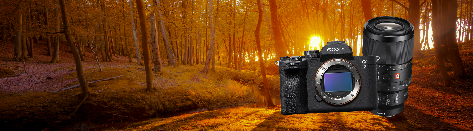 Ce week-end uniquement