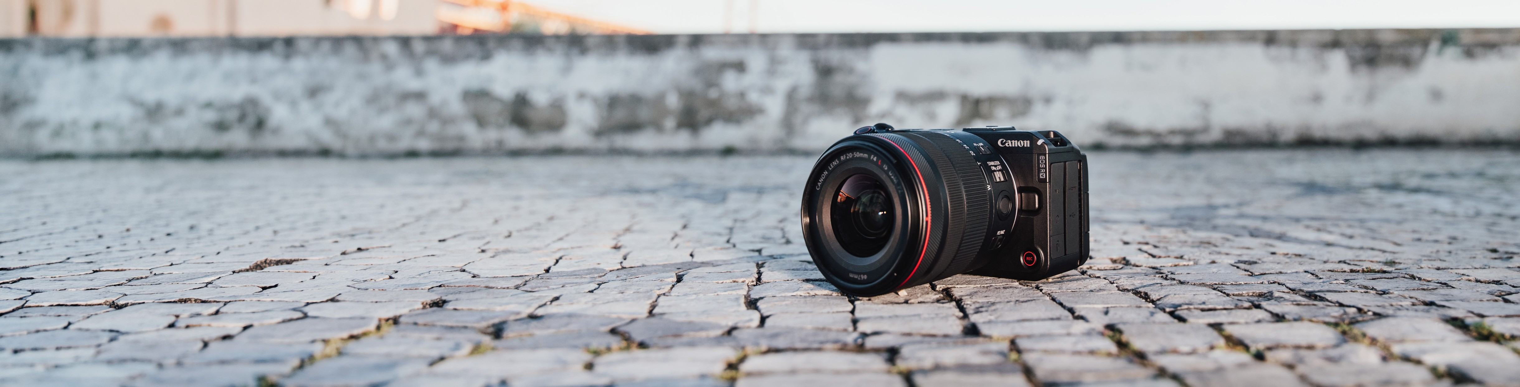 Canon EOS R6 V