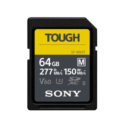 SD 64GB CL10 UHS-II